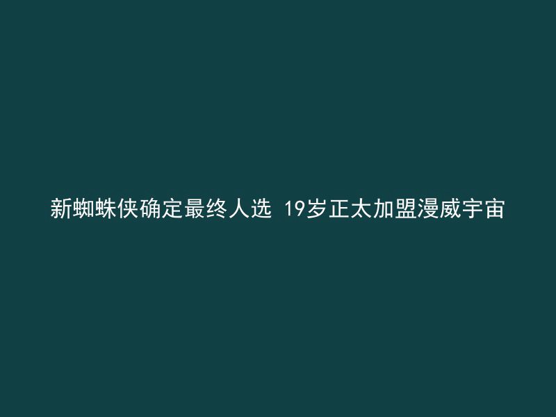 新蜘蛛侠确定最终人选 19岁正太加盟漫威宇宙