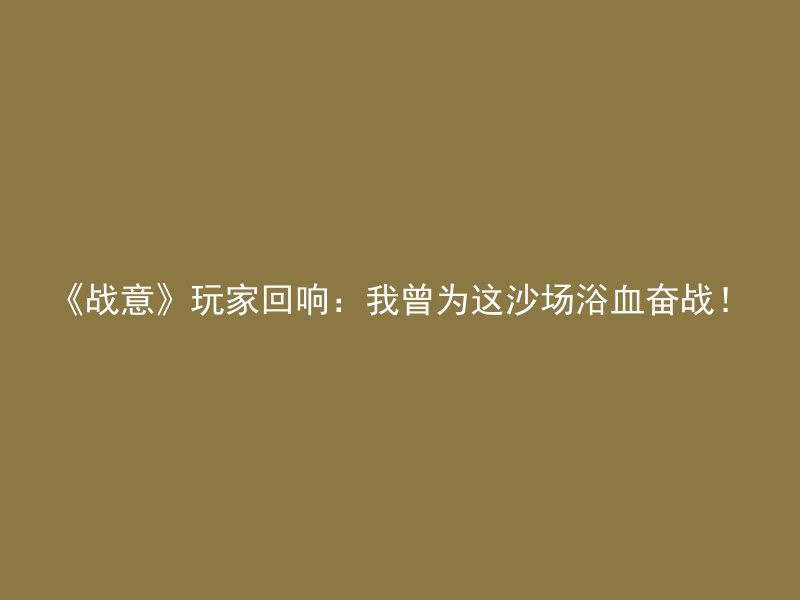 《战意》玩家回响：我曾为这沙场浴血奋战！