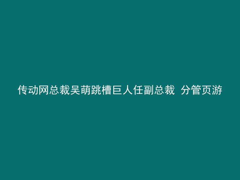 传动网总裁吴萌跳槽巨人任副总裁 分管页游