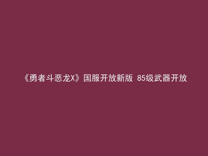 《勇者斗恶龙X》国服开放新版 85级武器开放