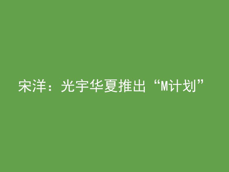 宋洋：光宇华夏推出“M计划”