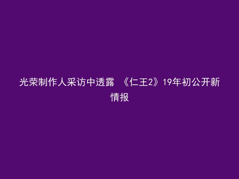 光荣制作人采访中透露 《仁王2》19年初公开新情报