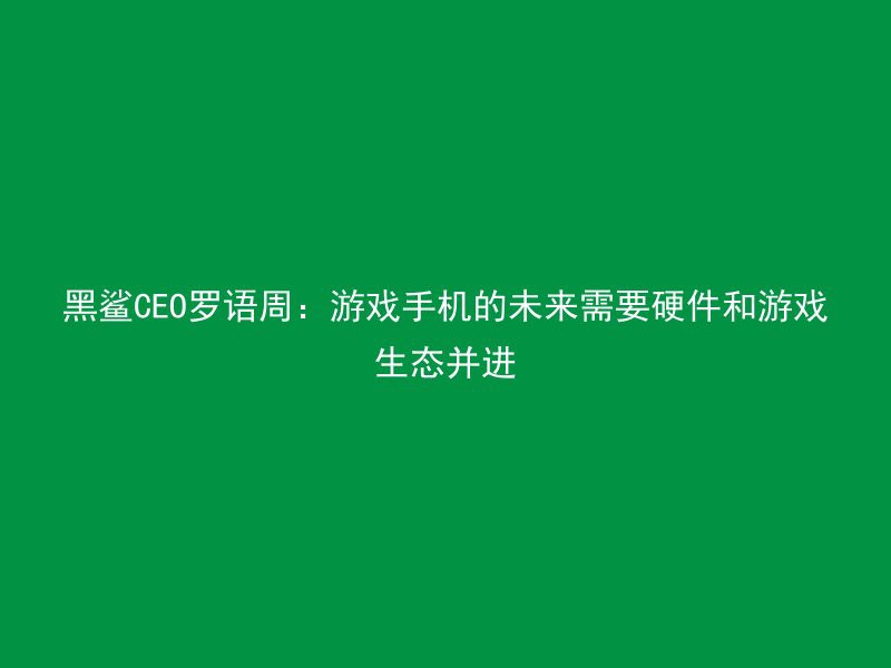 黑鲨CEO罗语周：游戏手机的未来需要硬件和游戏生态并进