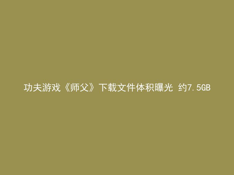 功夫游戏《师父》下载文件体积曝光 约7.5GB