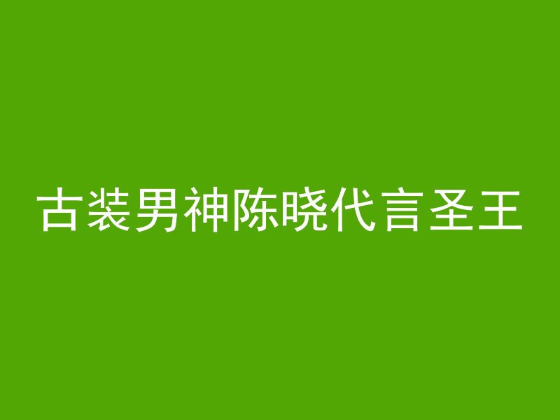 古装男神陈晓代言圣王