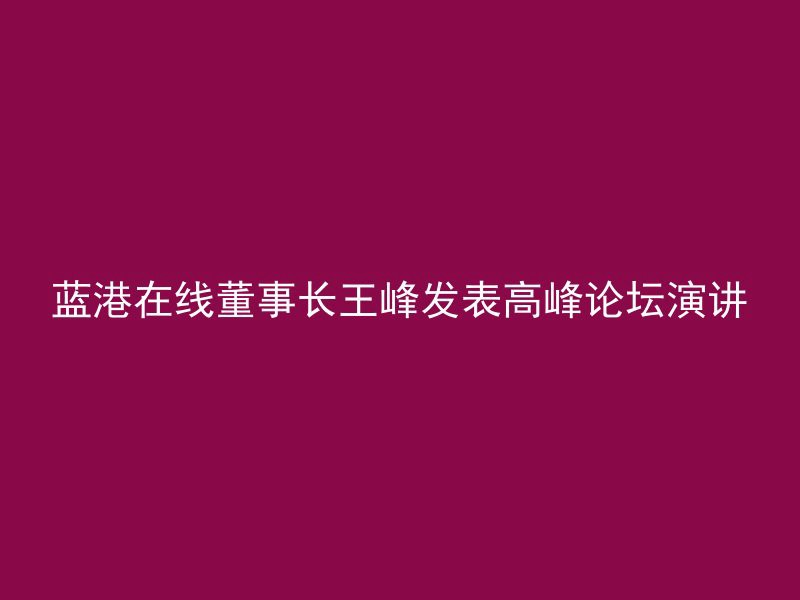 蓝港在线董事长王峰发表高峰论坛演讲