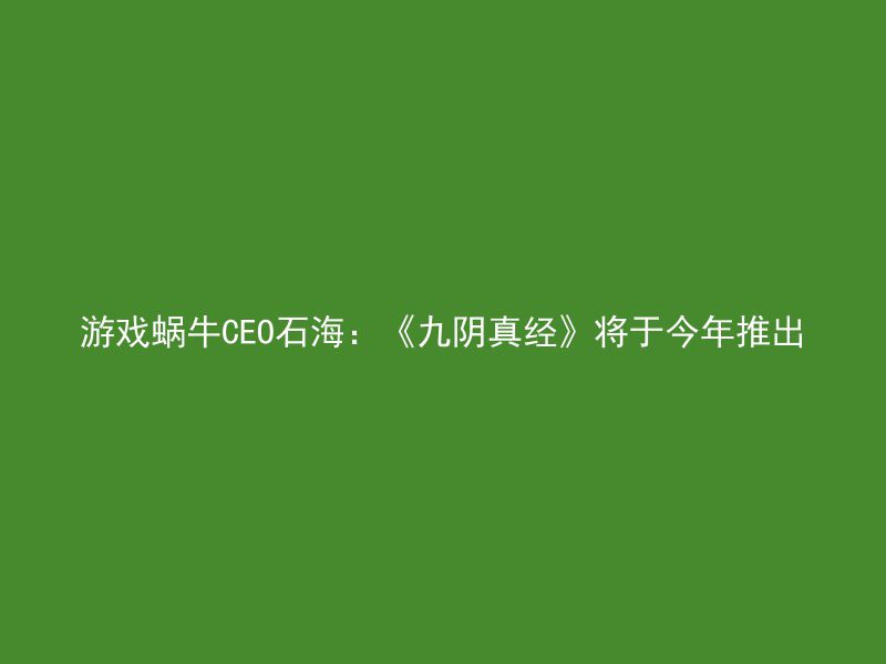 游戏蜗牛CEO石海：《九阴真经》将于今年推出