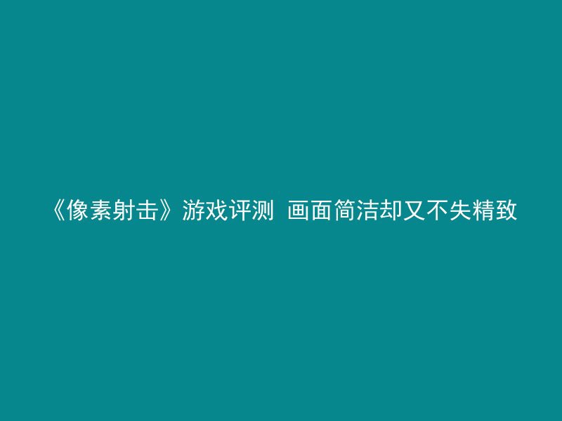 《像素射击》游戏评测 画面简洁却又不失精致