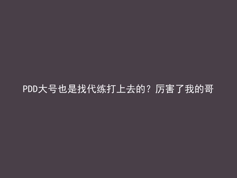 PDD大号也是找代练打上去的？厉害了我的哥