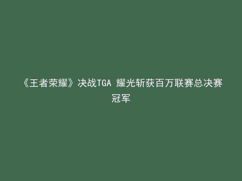 《王者荣耀》决战TGA 耀光斩获百万联赛总决赛冠军