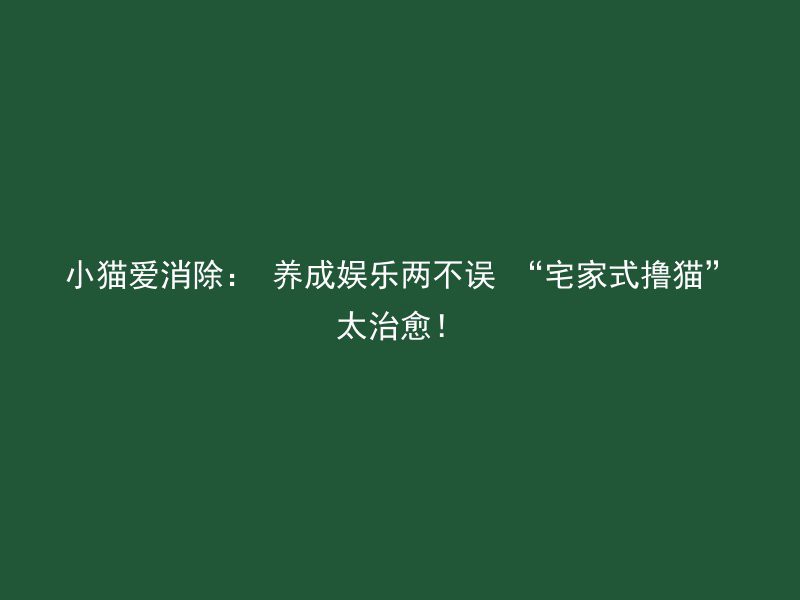 小猫爱消除： 养成娱乐两不误 “宅家式撸猫”太治愈！