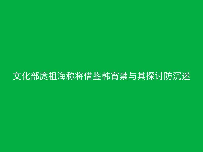 文化部庹祖海称将借鉴韩宵禁与其探讨防沉迷