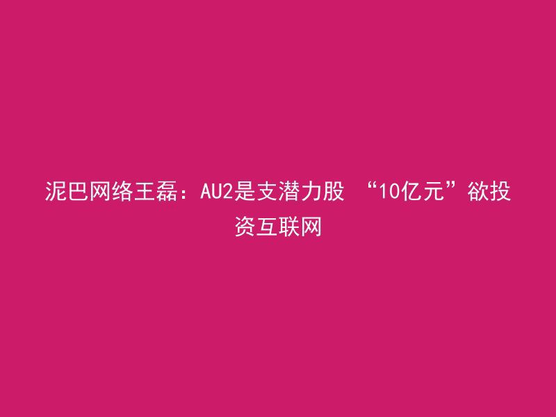 泥巴网络王磊：AU2是支潜力股 “10亿元”欲投资互联网