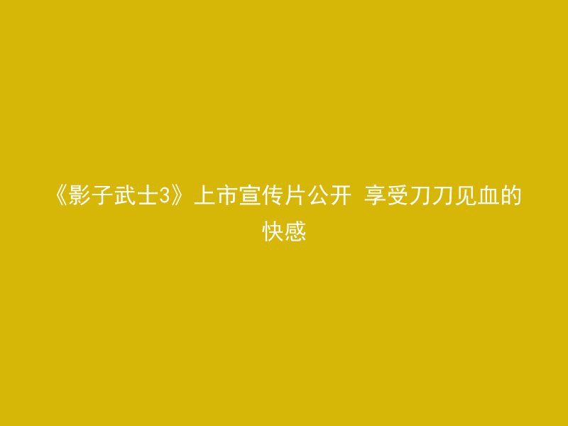 《影子武士3》上市宣传片公开 享受刀刀见血的快感