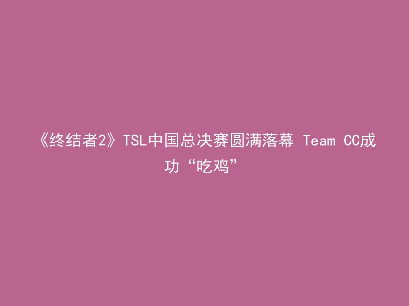 《终结者2》TSL中国总决赛圆满落幕 Team CC成功“吃鸡”