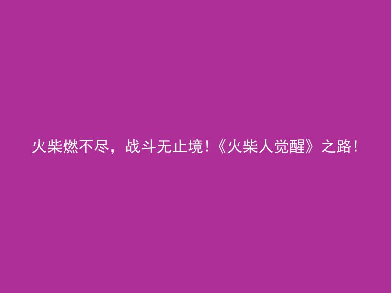 火柴燃不尽，战斗无止境!《火柴人觉醒》之路!