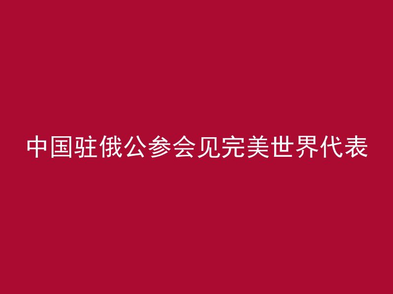 中国驻俄公参会见完美世界代表