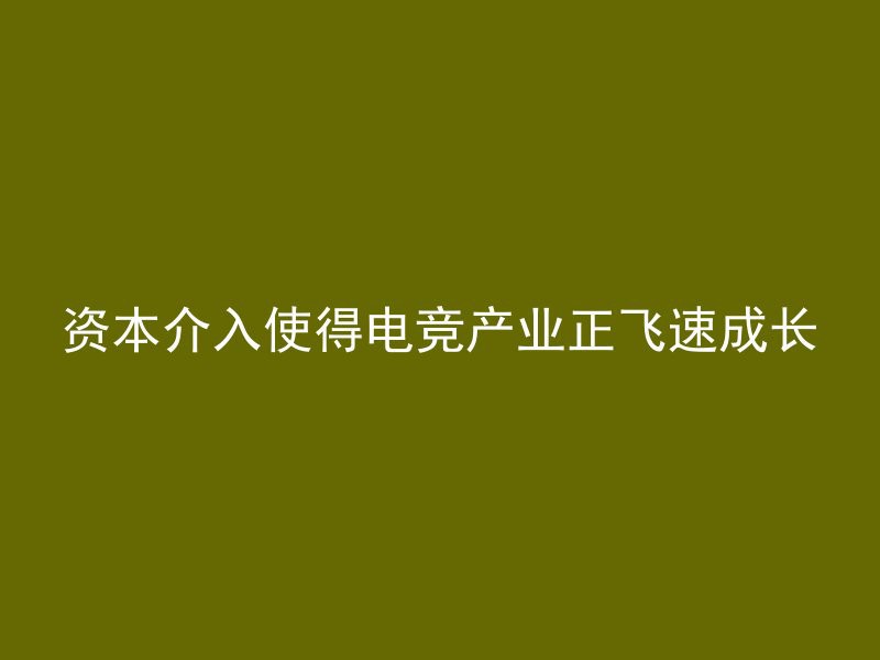 资本介入使得电竞产业正飞速成长