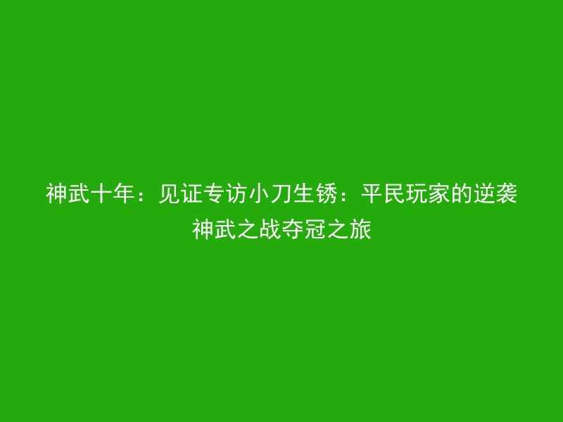 神武十年：见证专访小刀生锈：平民玩家的逆袭神武之战夺冠之旅