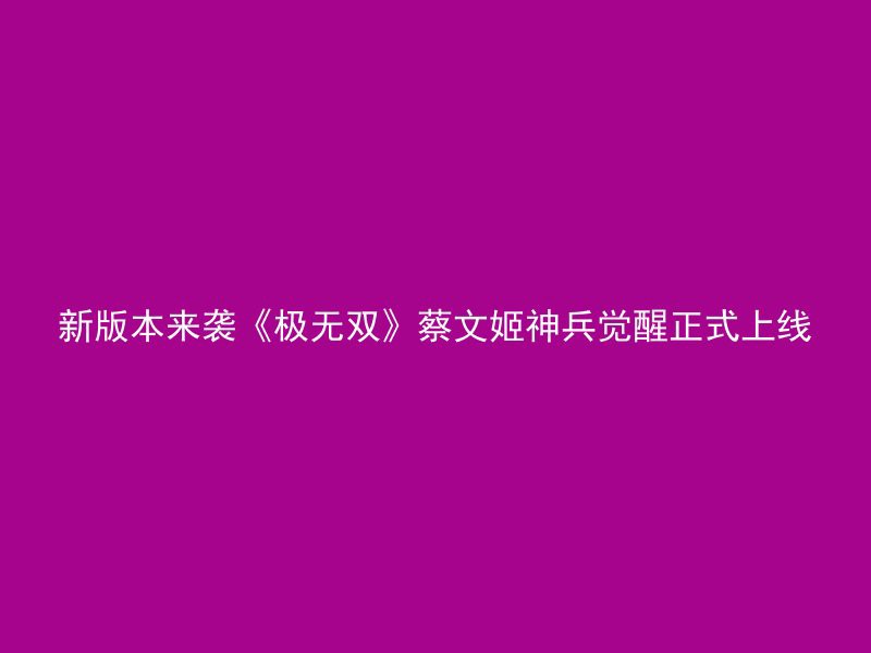 新版本来袭《极无双》蔡文姬神兵觉醒正式上线