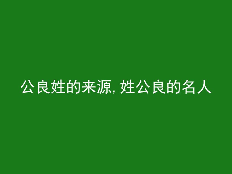 公良姓的来源,姓公良的名人