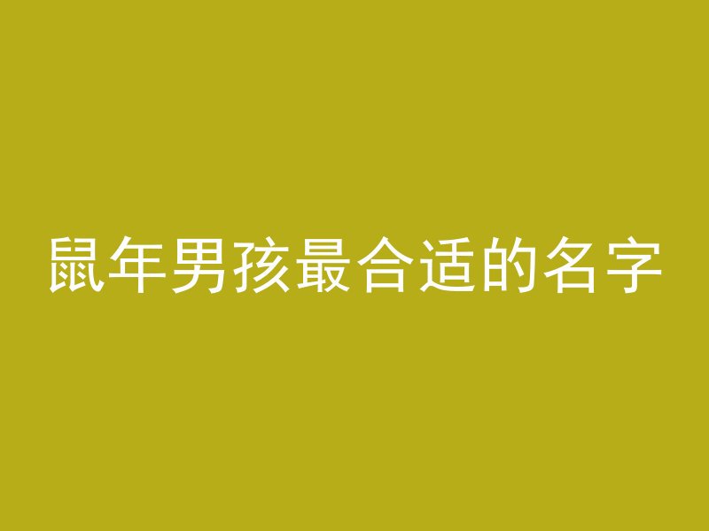 鼠年男孩最合适的名字