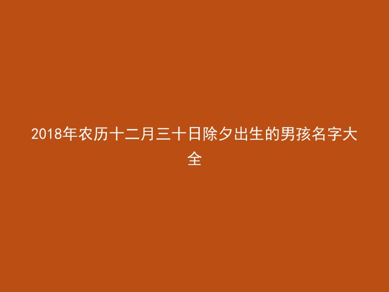 2018年农历十二月三十日除夕出生的男孩名字大全