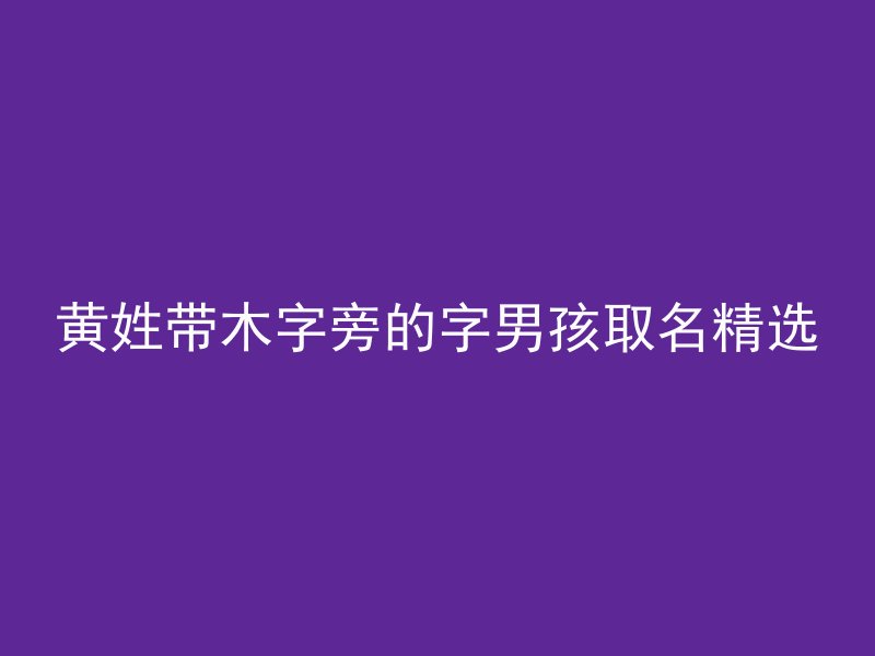 黄姓带木字旁的字男孩取名精选