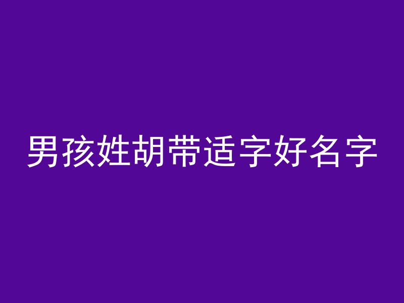 男孩姓胡带适字好名字