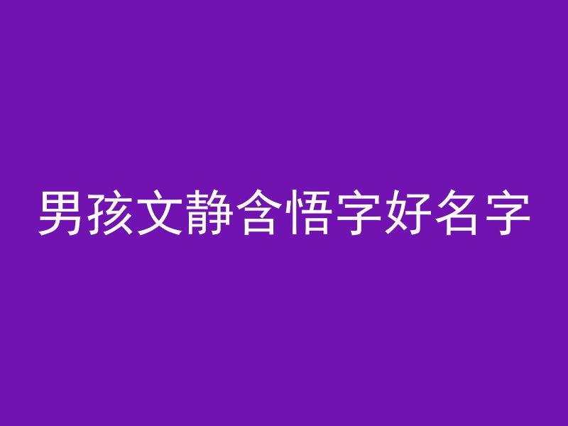 男孩文静含悟字好名字