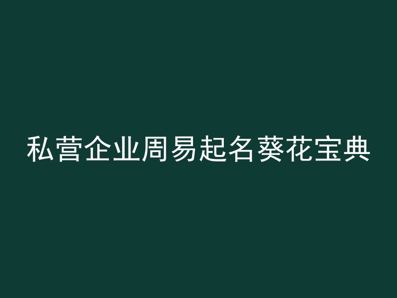 私营企业周易起名葵花宝典