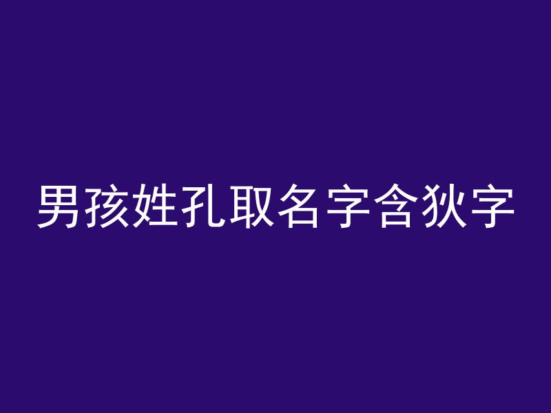 男孩姓孔取名字含狄字