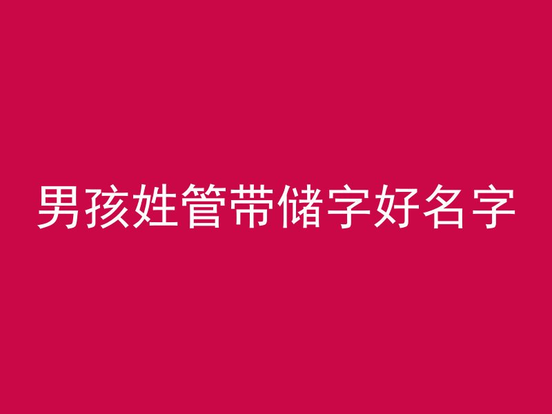 男孩姓管带储字好名字