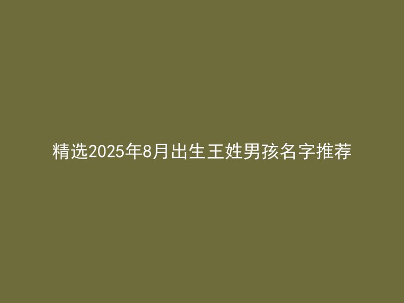 精选2025年8月出生王姓男孩名字推荐