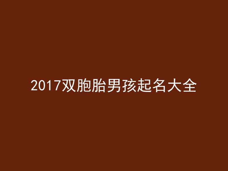 2017双胞胎男孩起名大全