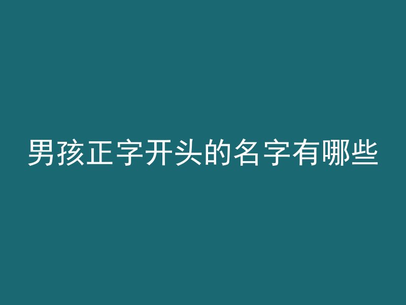 男孩正字开头的名字有哪些