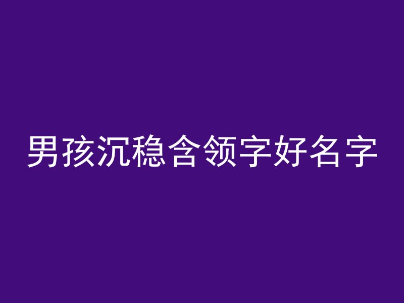 男孩沉稳含领字好名字