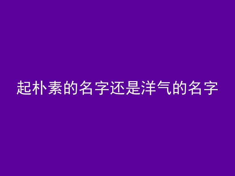 起朴素的名字还是洋气的名字