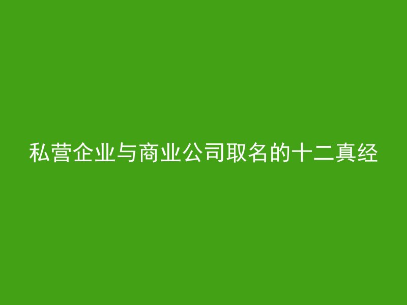 私营企业与商业公司取名的十二真经