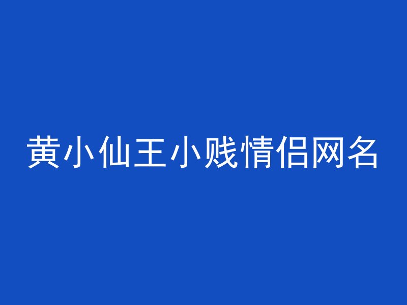 黄小仙王小贱情侣网名