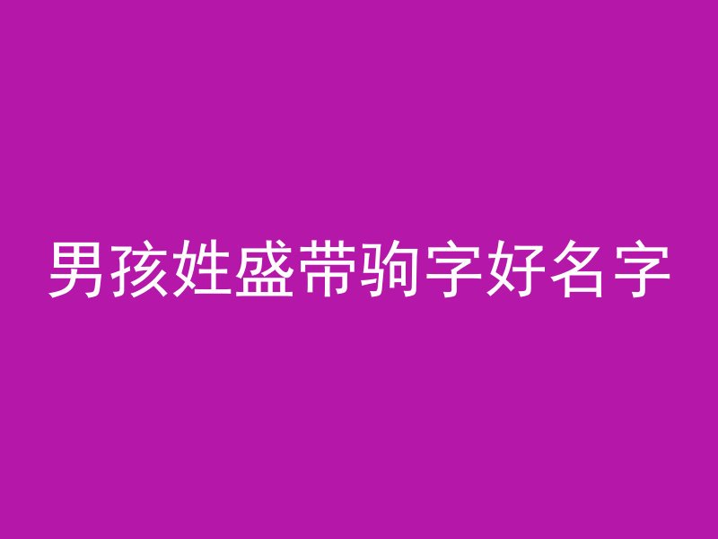 男孩姓盛带驹字好名字