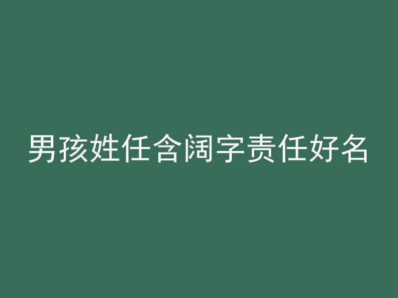 男孩姓任含阔字责任好名