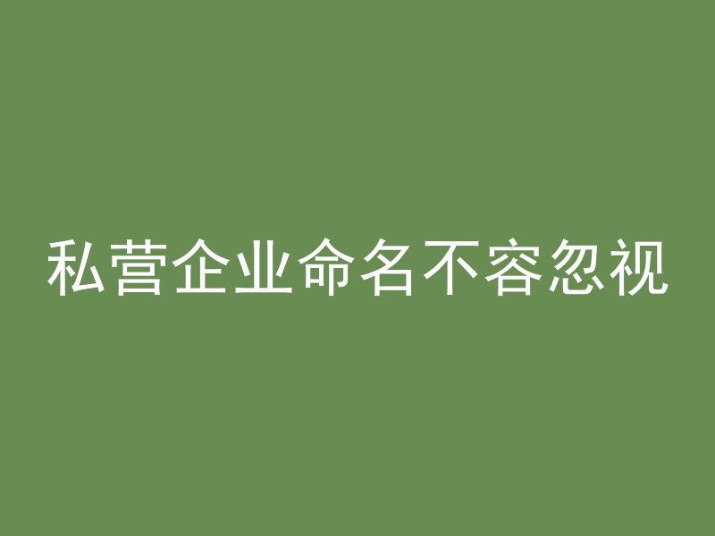 私营企业命名不容忽视