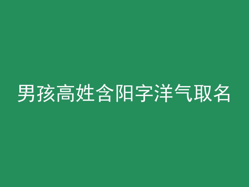 男孩高姓含阳字洋气取名