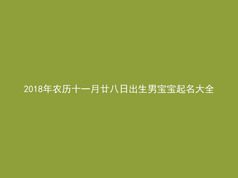 2018年农历十一月廿八日出生男宝宝起名大全