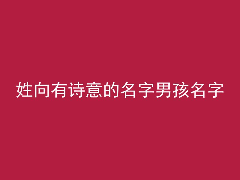 姓向有诗意的名字男孩名字