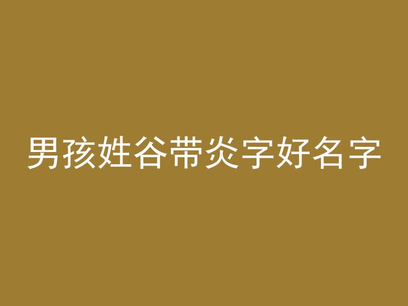 男孩姓谷带炎字好名字