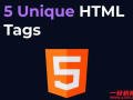 HTML 编程的注意事项